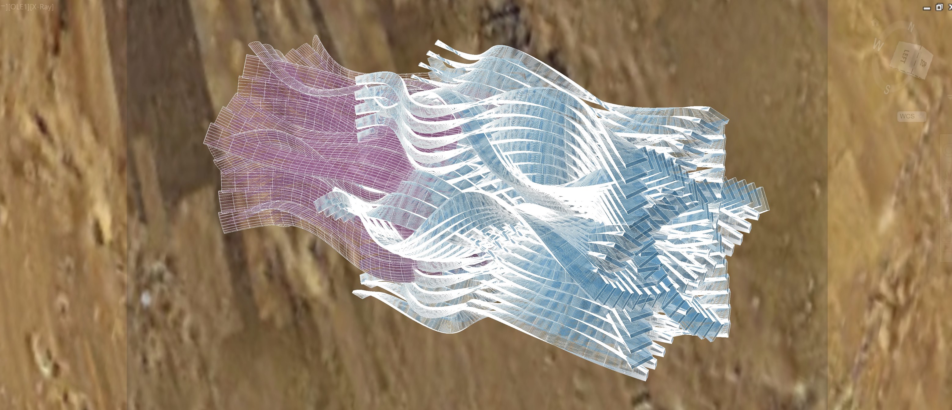 HYBRIDS, still of digital model, artwork by Felice Grodin